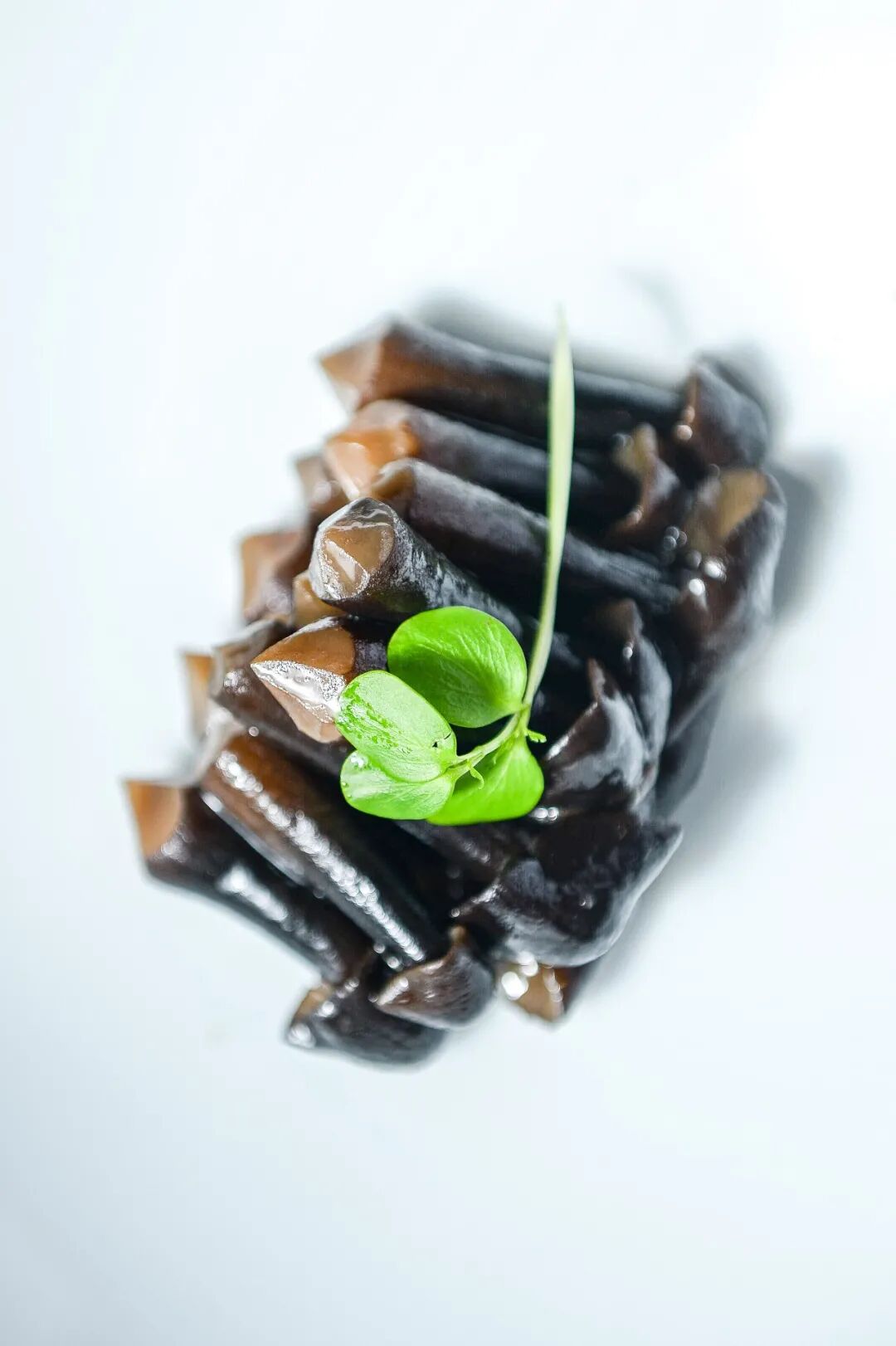 ������̲5�ţ�ħ��Zui����������꣬С��̽��ʵ�����ˣ�