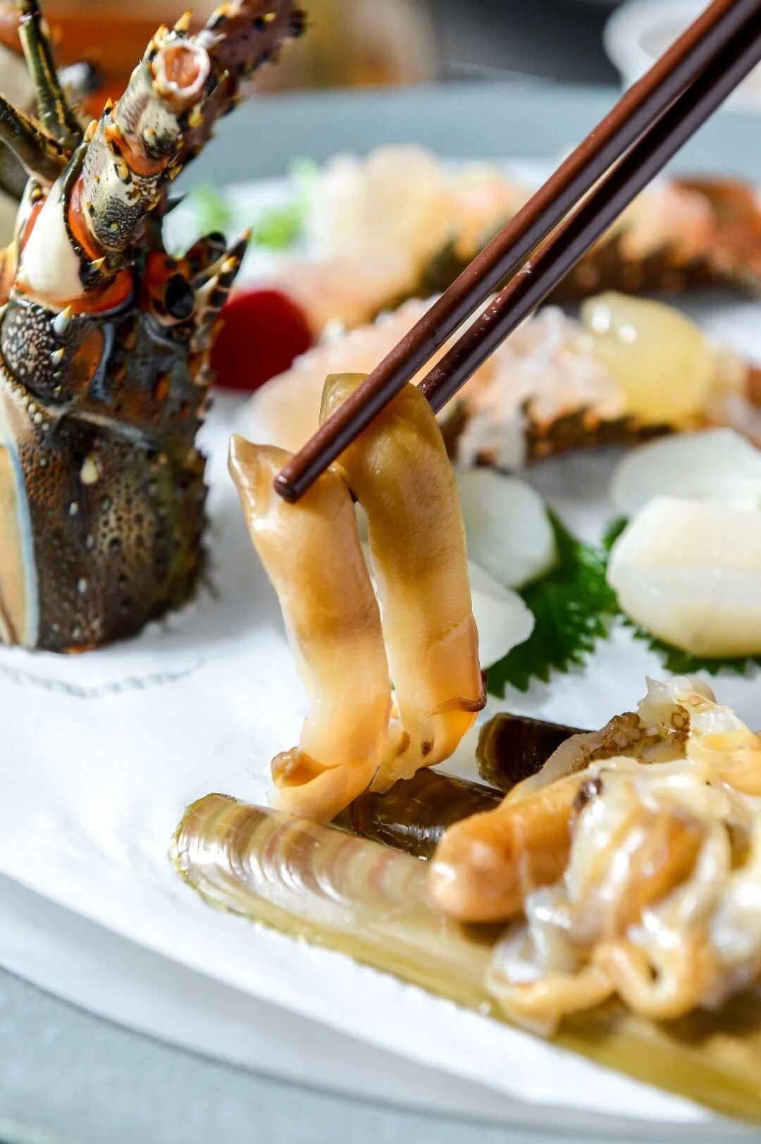 ������̲5�ţ�ħ��Zui����������꣬С��̽��ʵ�����ˣ�