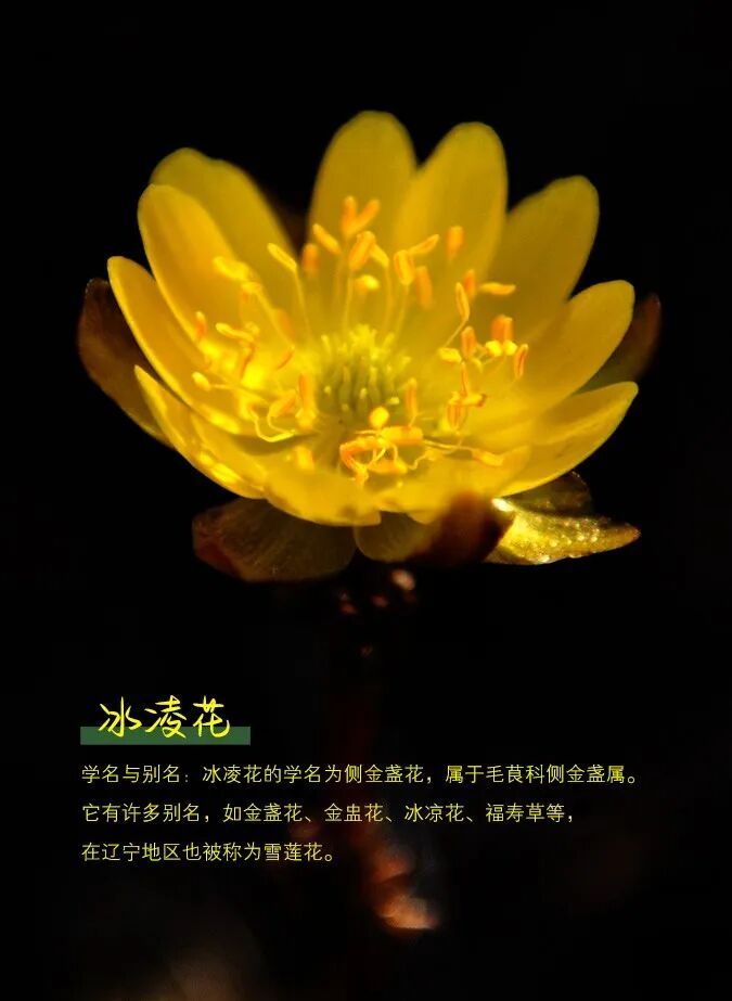 王政达 (3).jpg
