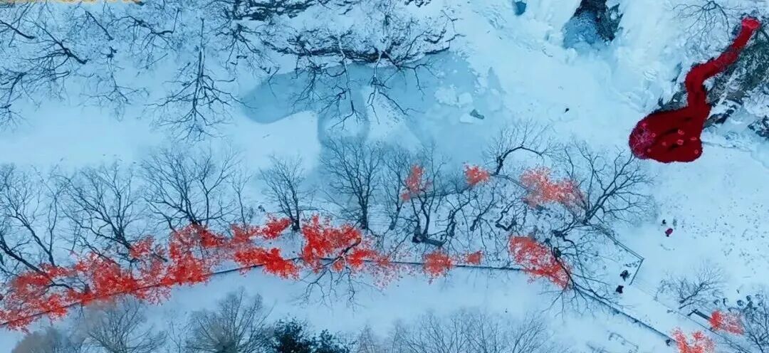 微信图片_20260211161651_225_7.jpg