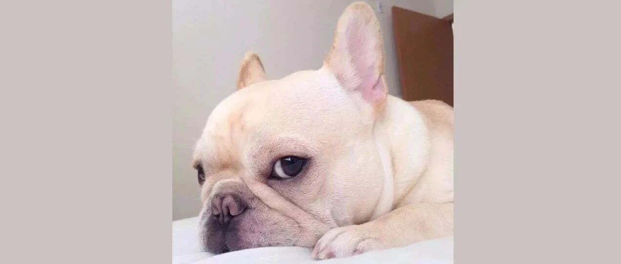 45句谐音梗文案，哈哈哈哈哈太好玩了