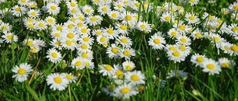 40句适合周末朋友圈的句子，有趣又有理