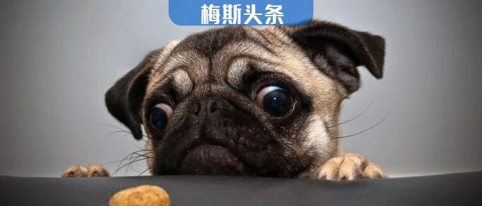 单身有理！Nature：何时发生首次性行为、何时成为父母，早就写在基因里！