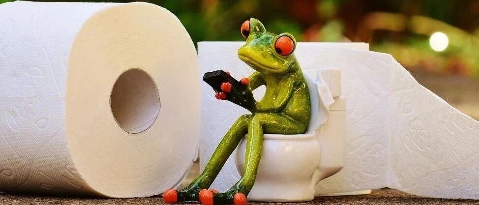 一篇有味道的推送——“不翔”之感何以解忧？