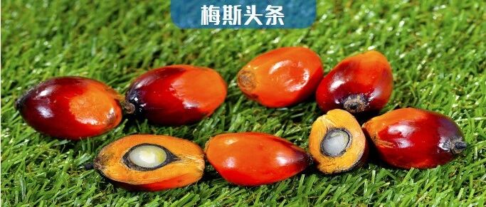 Nature：促进癌细胞转移！这种食物我们每天都在吃