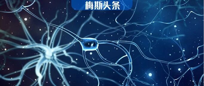 年纪大，睡不香的原因找到了！斯坦福发表Science，原来是因为这种神经元太兴奋...