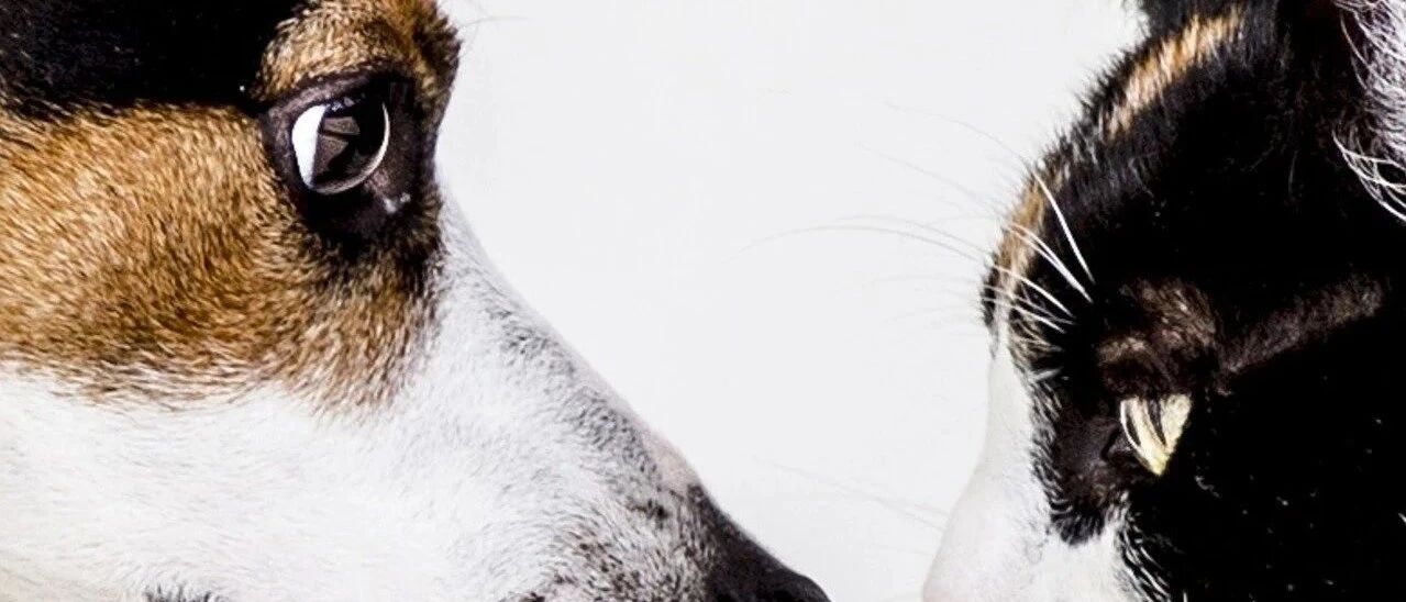 男女有别，古人诚不欺我