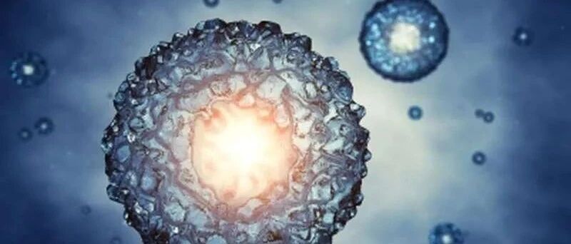 冻精、冻卵这个“后悔药”你吃吗？