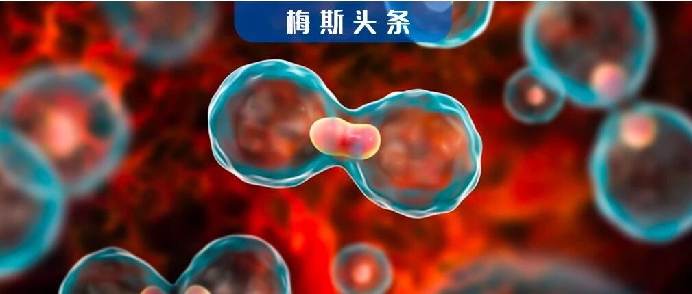 中国已成癌症第一大国！肺癌死亡率飙升4倍，男性高于女性

​