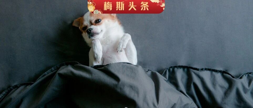 “压力”大，睡得香？研究证明： 盖重被子4周，失眠严重程度下降50%