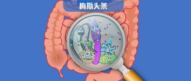 拉肚子会让人变傻实锤了！Science：肠道炎症引起脑屏障结构改变，诱发精神症状！