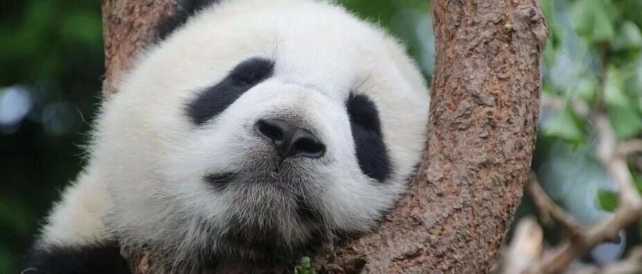 睡眠好不好，关键是效率！