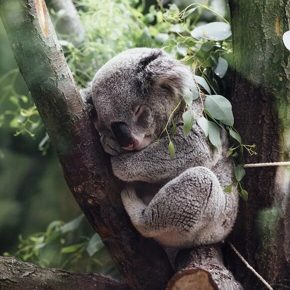 WHO已将熬夜列为致癌因素，你还敢熬夜吗？