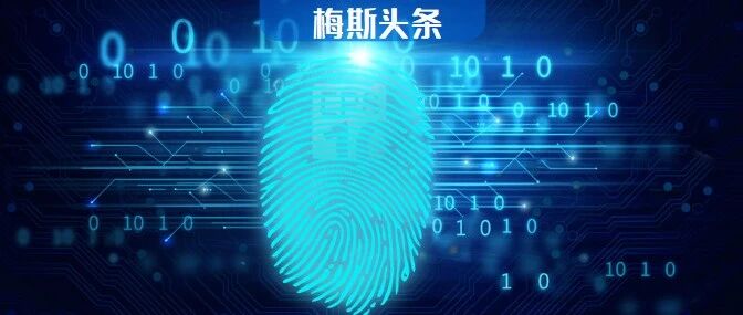 Cell：指纹算命有望？中科院、复旦团队揭示人类指纹形成内在机制