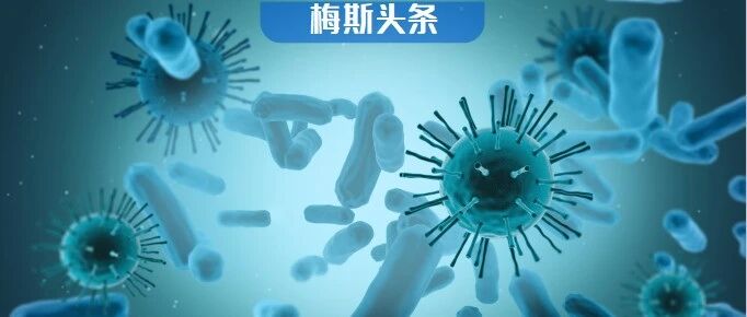 Cell：肠道菌群作用被高估！自闭症患者的肠道菌群差异与自闭症关系不大！