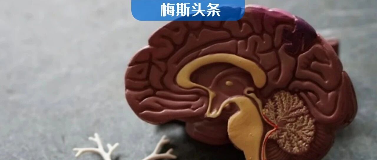 高血压会使大脑老的快？错！正常血压可能就已经开始了！