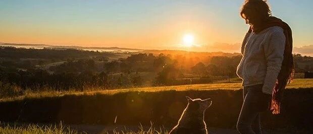 今天，我们一起面对黑狗