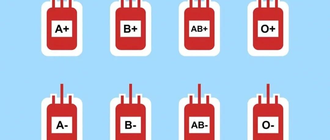 哪种血型的人最长寿？