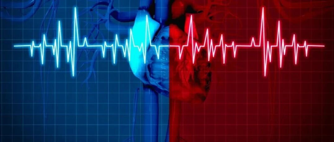 治疗高血压再添利器——长效降压兼具心血管保护