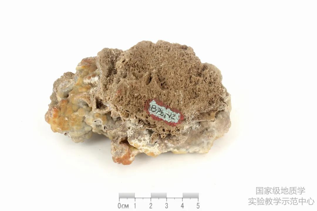 收藏备用！岩矿标本鉴别汇总，赶快学起来~的图30