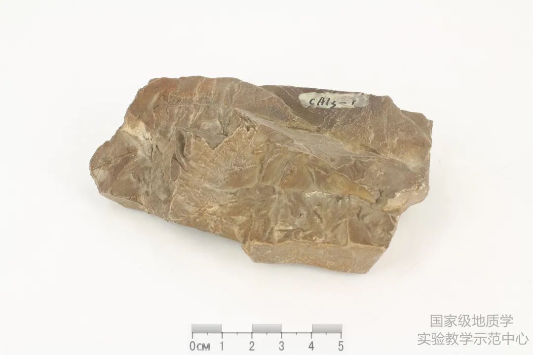 收藏备用！岩矿标本鉴别汇总，赶快学起来~的图96