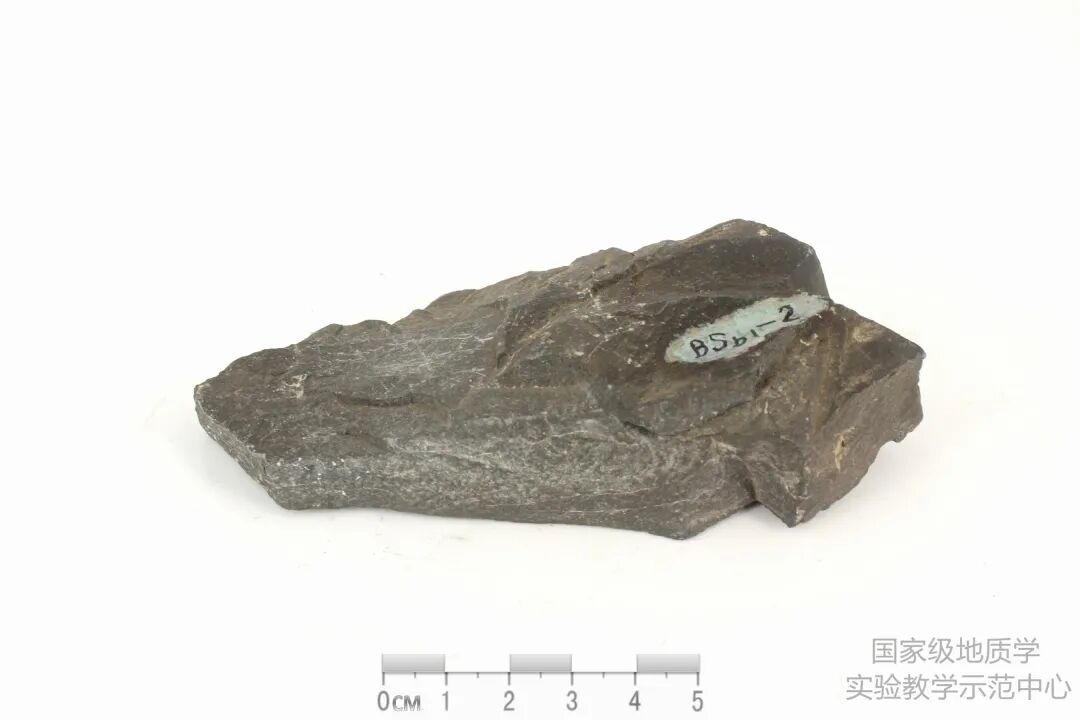 收藏备用！岩矿标本鉴别汇总，赶快学起来~的图50