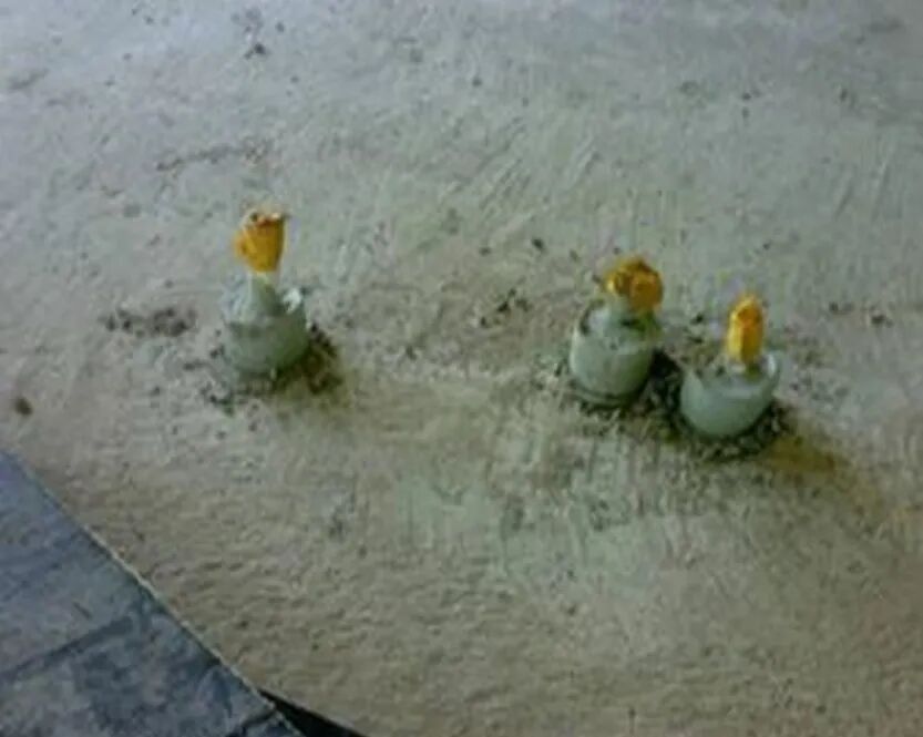 弱电安装常见的质量通病及其防治措施的图2