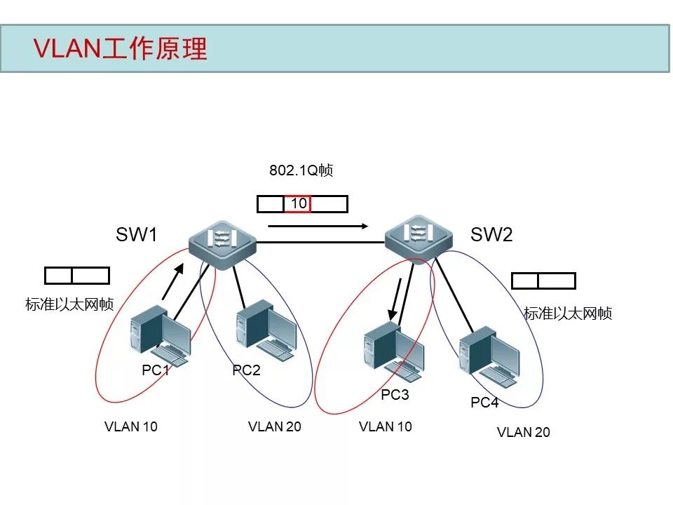 弱電工程VLAN原理與配置案例講解(圖11) 圖片