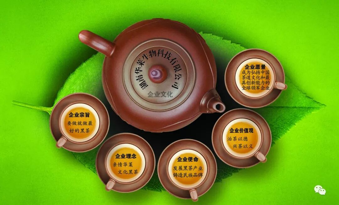 华莱家人必备的三大计划！立即收藏！