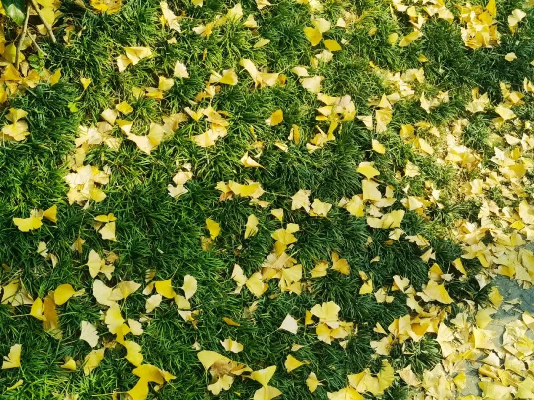 “内卷”是一种什么体验？