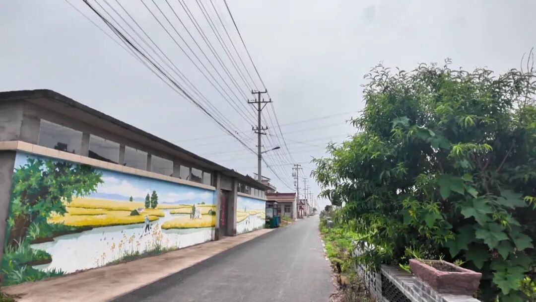王圩村：美化人居环境 打造车友驿站助民增收