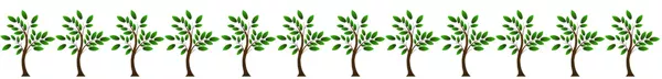 植树活动|以花之名，种下春天|三八节-厦门雷公山农业休闲山庄有限公司