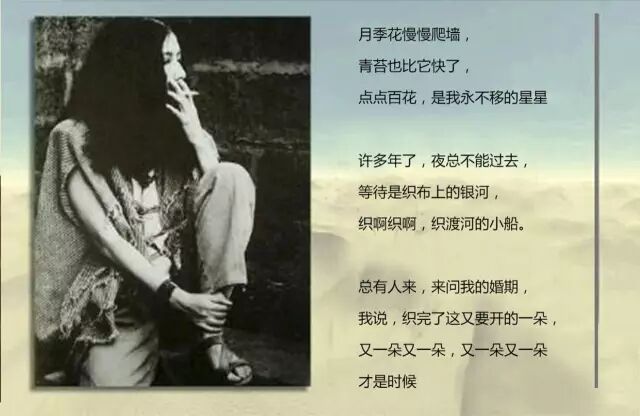 42267读书会沙漠中的真善美