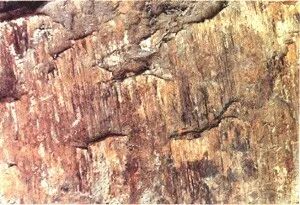 应懂得最基本地质知识！你全知道吗？的图33