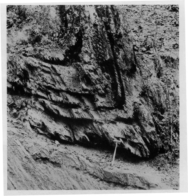 应懂得最基本地质知识！你全知道吗？的图15