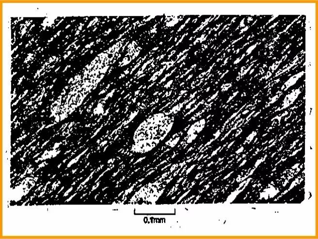 应懂得最基本地质知识！你全知道吗？的图37