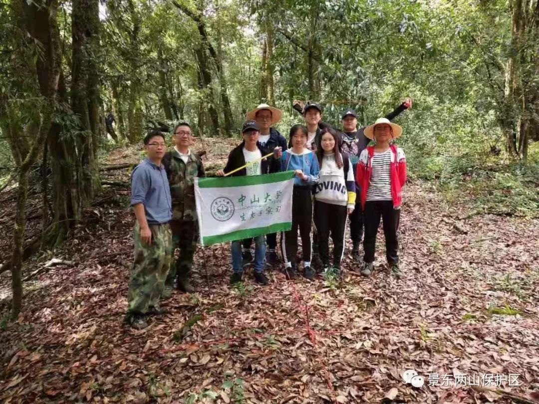 中山大学学生到景东无量山开展生态学综合实习 景东两山保护区 微信公众号文章阅读 Wemp