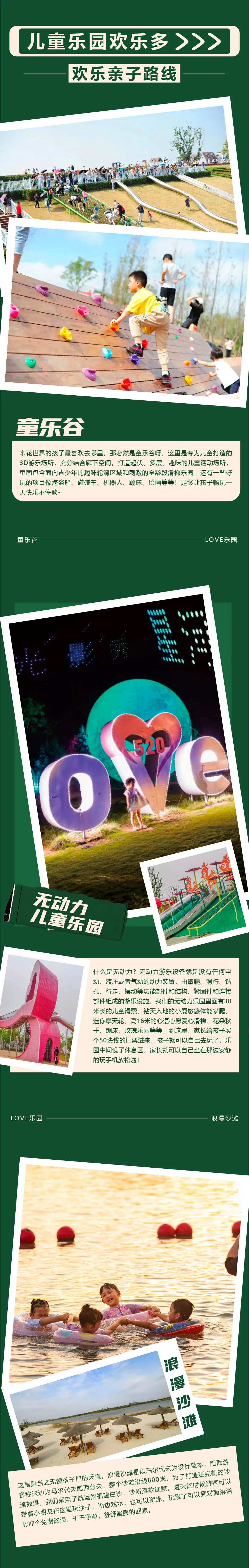 汉阴鸟类暖心干部珍稀鹰凤头救助落难林业