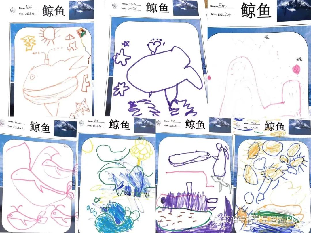 世间生物蓝鲸有多大_蓝鲸是生物吗_世间有蓝鲸的生物吗