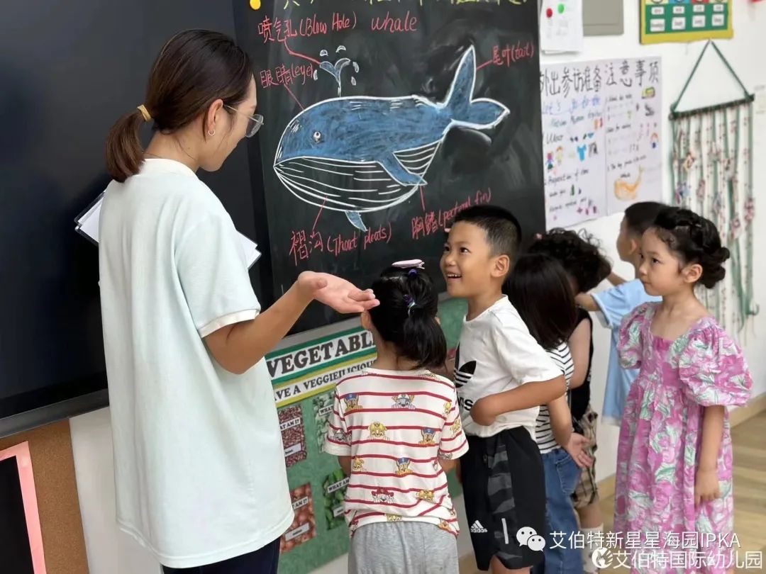 蓝鲸是生物吗_世间有蓝鲸的生物吗_世间生物蓝鲸有多大