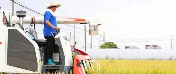 关于中国农业现代化，我们“有数”！