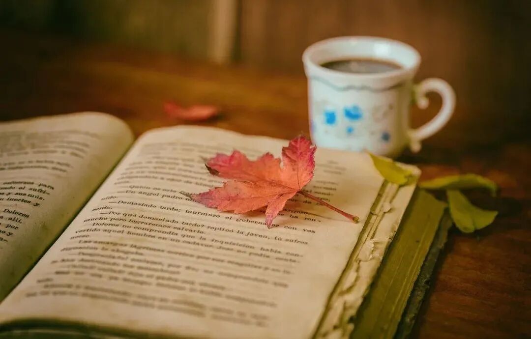 �����˴���֮��̸