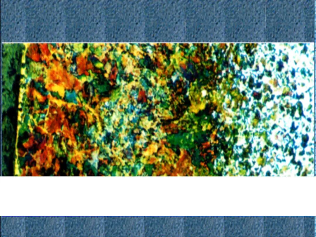 钢的热处理工艺PPT的图79