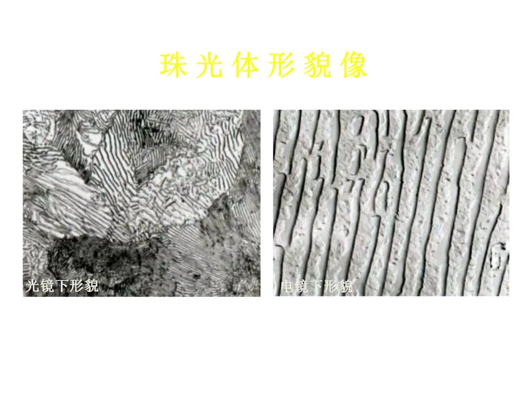 钢的热处理工艺PPT的图14