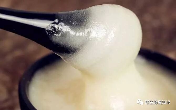 椴树蜜和普通蜂蜜的区别 雪蜜和蜂蜜有什么区别？