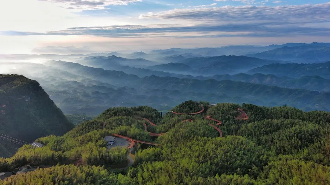 蜀南竹海全景图片