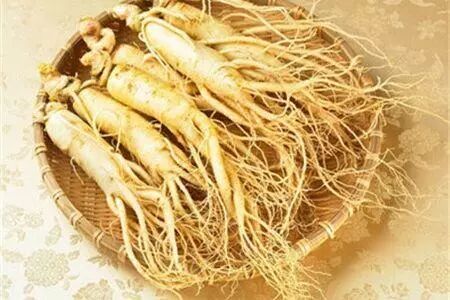 中国十大名贵药材，一定有你需要的