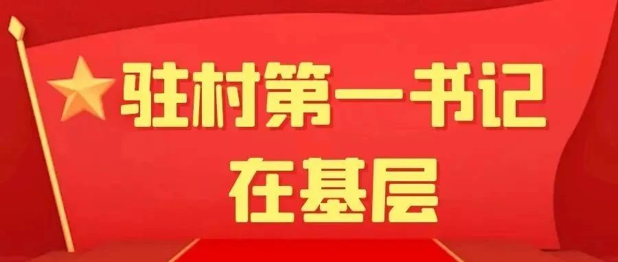 驻村第一书记在基层 | 杨坤:扎根基层 为乡村振兴贡献青春力量