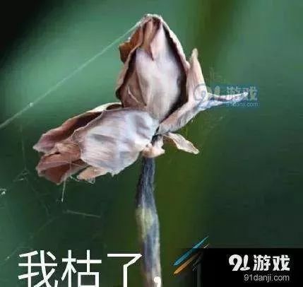 2018年度流行语＆网络用语英译，你印象最深的是哪一个？