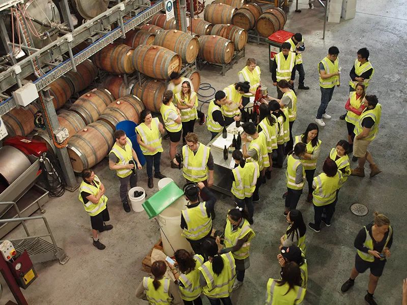 快讯 | 中国学生远赴南澳学习酿酒，葡萄酒队伍扩增！